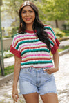 Molly Sleeve Colorful Textured Sweater
