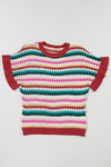 Molly Sleeve Colorful Textured Sweater